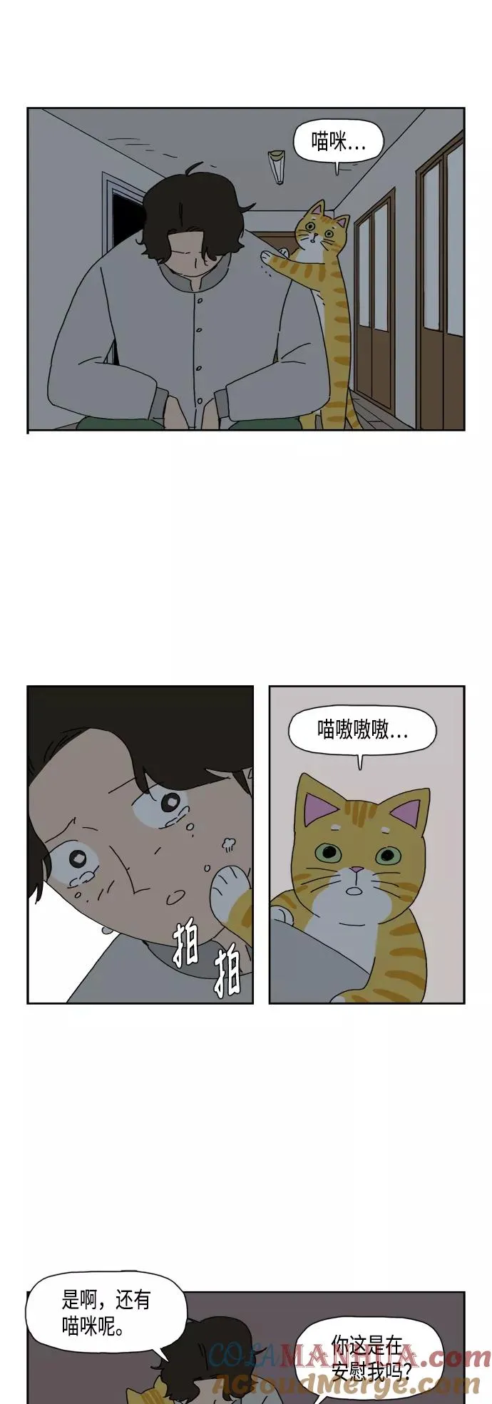 第81话 第55页
