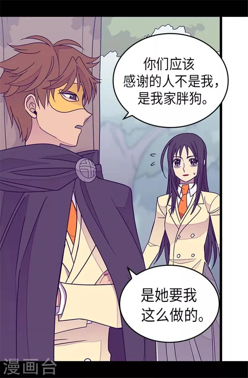 第292话 还是魔力靠得住 第15页