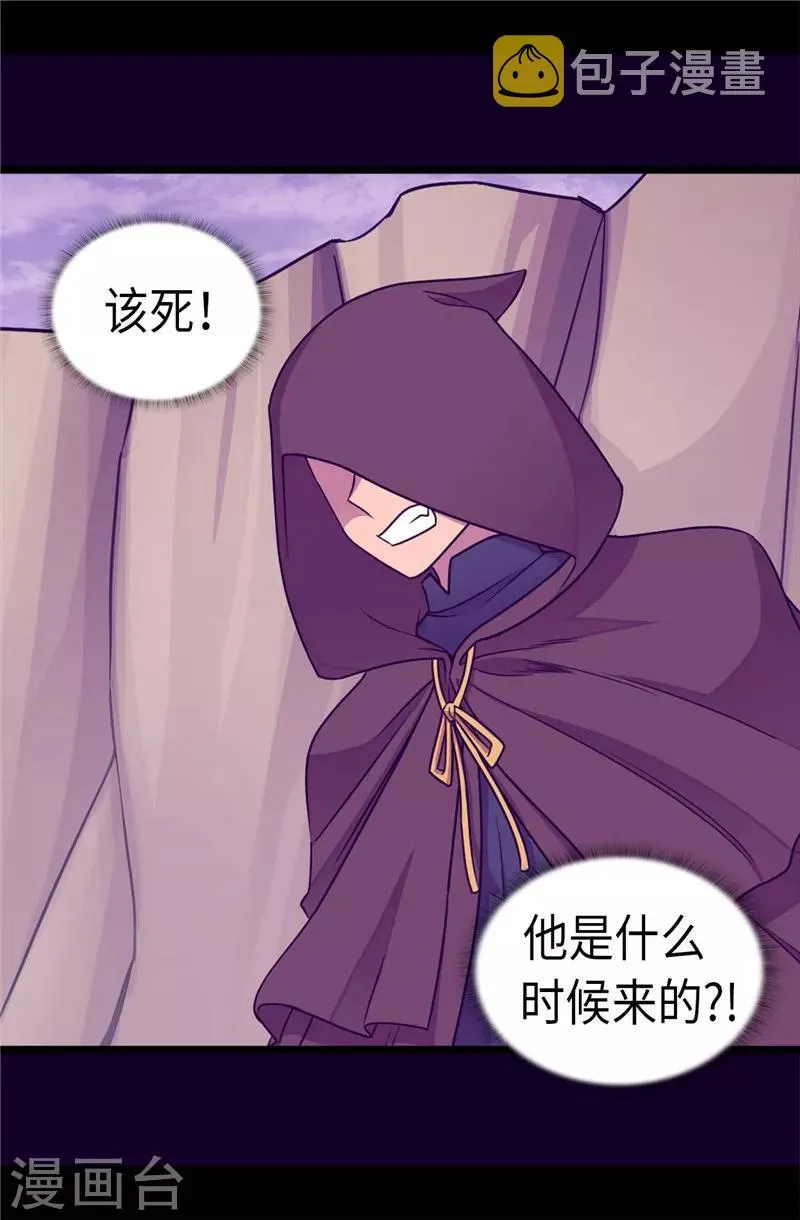 第311话 优先保护公主 第2页