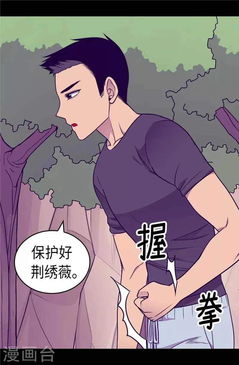 第311话 优先保护公主 第8页