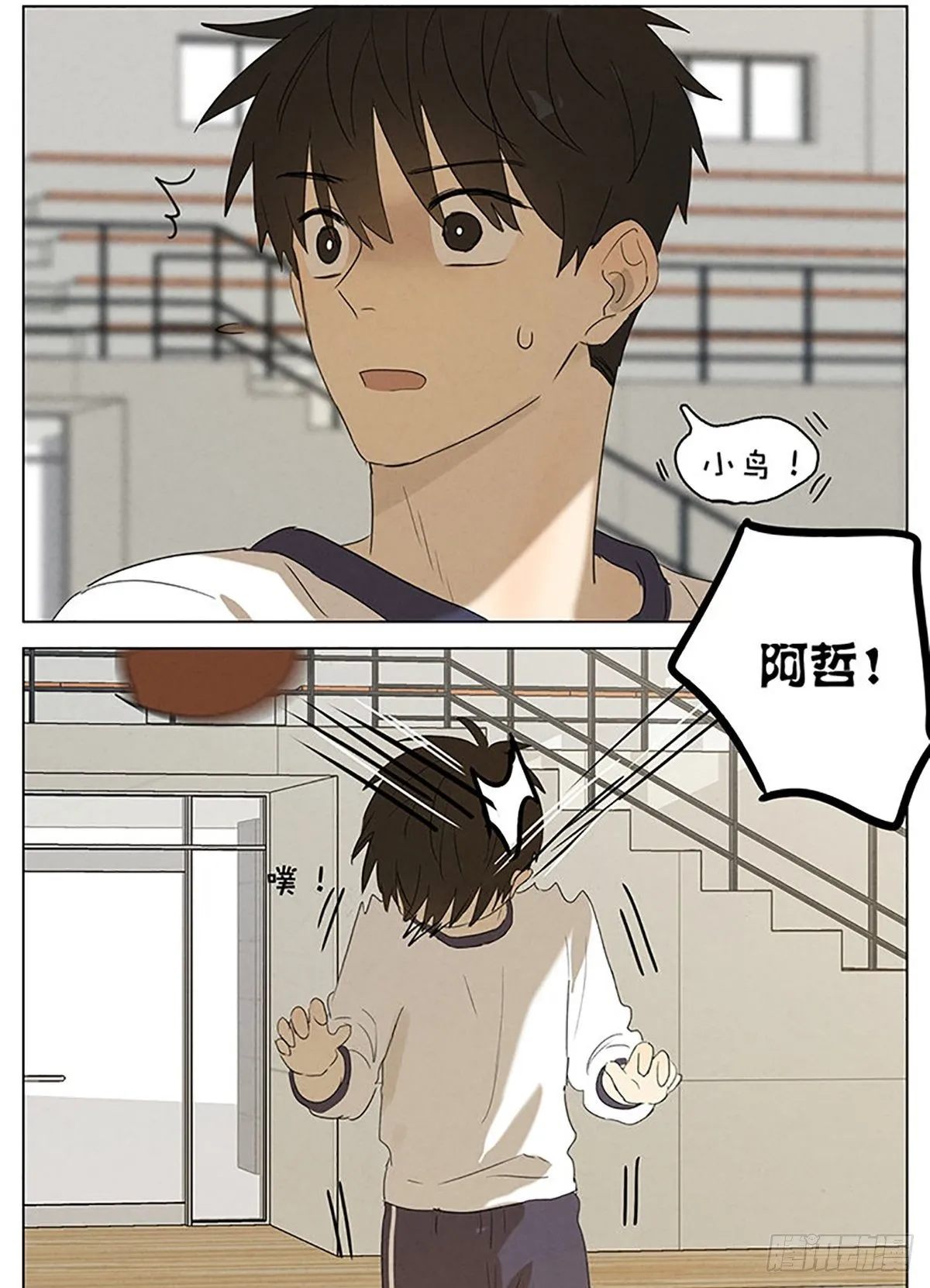 手机 第5页