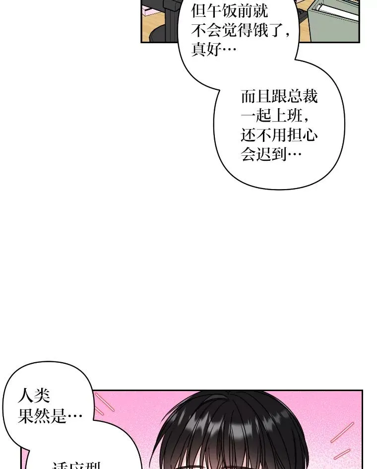 14.签约代言人 第47页