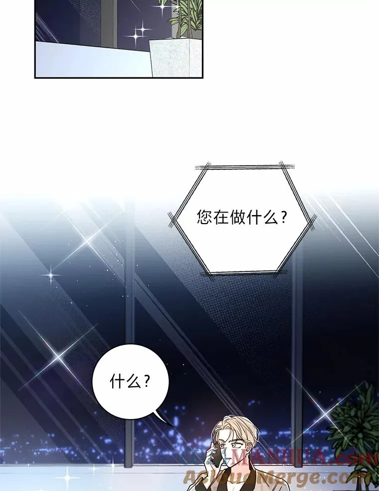 19.漂亮的定义 第31页