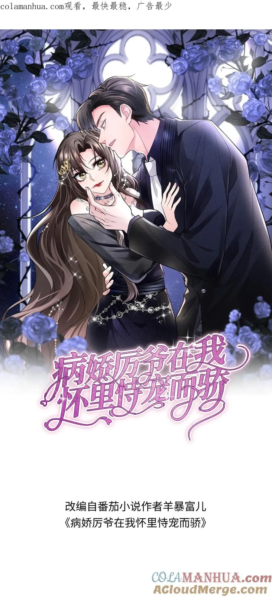 第242话 诱饵与目标 第1页