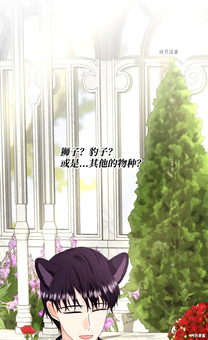 第61话 第66页