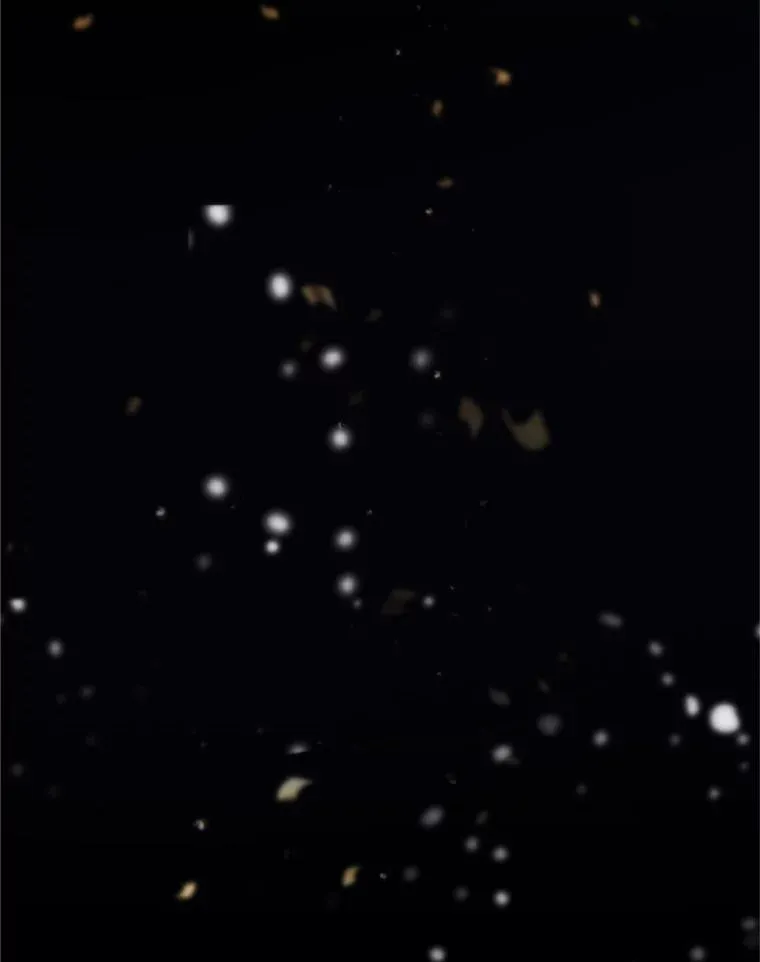 72.永远闪耀的星星 第140页