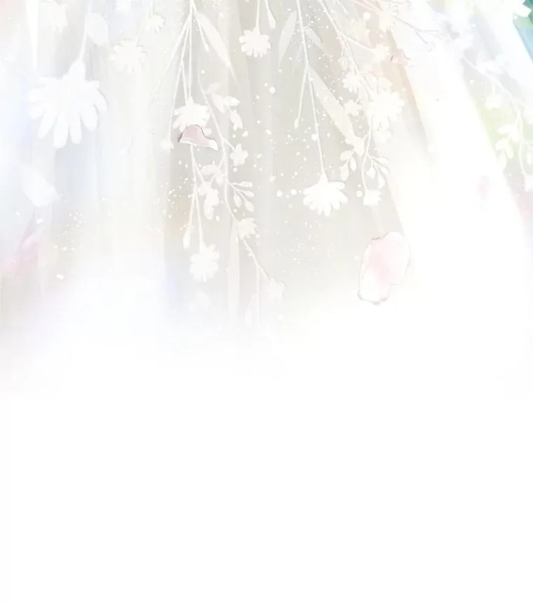 外传2.完美的婚礼 第71页