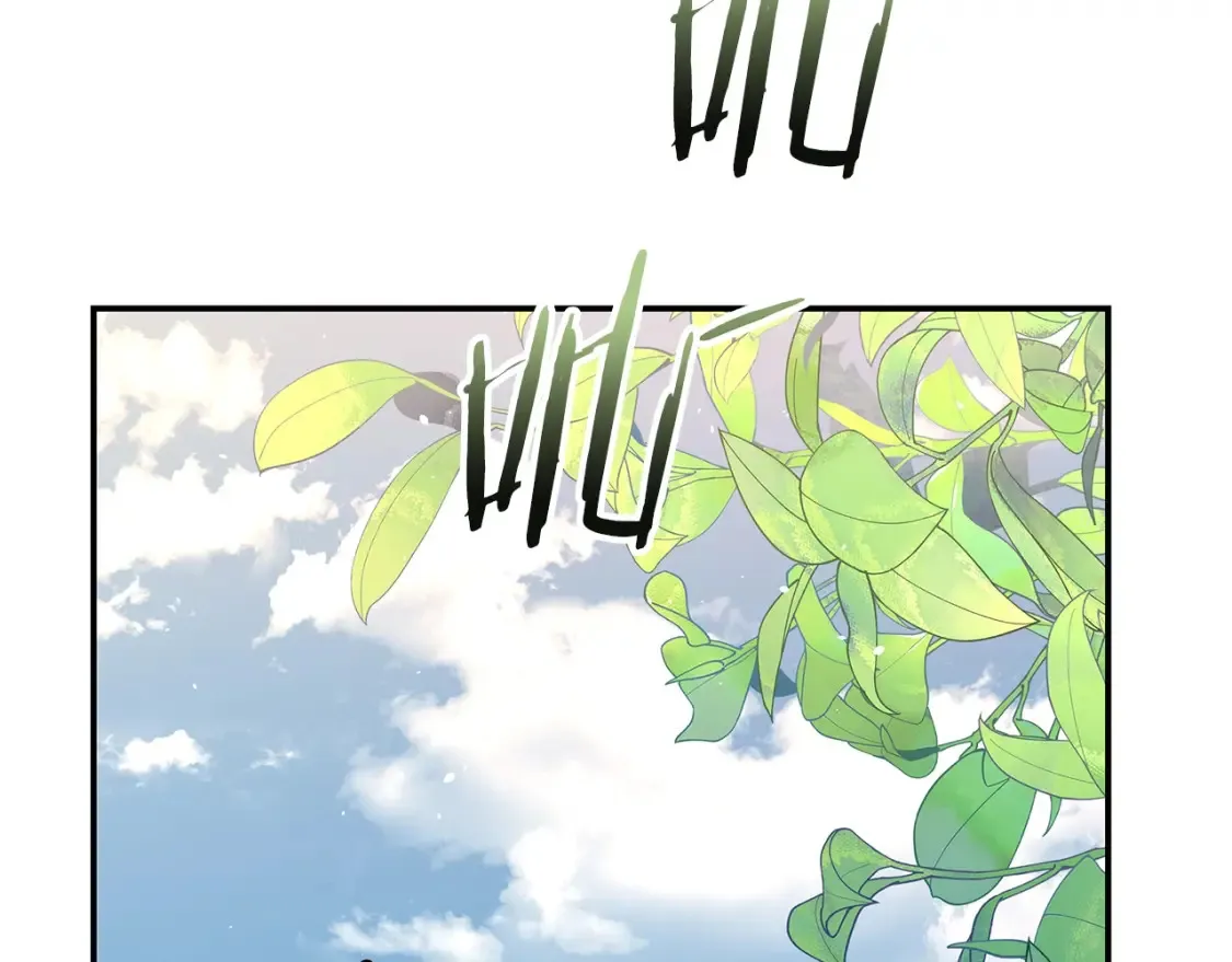 第7话 白虎之魂 第261页