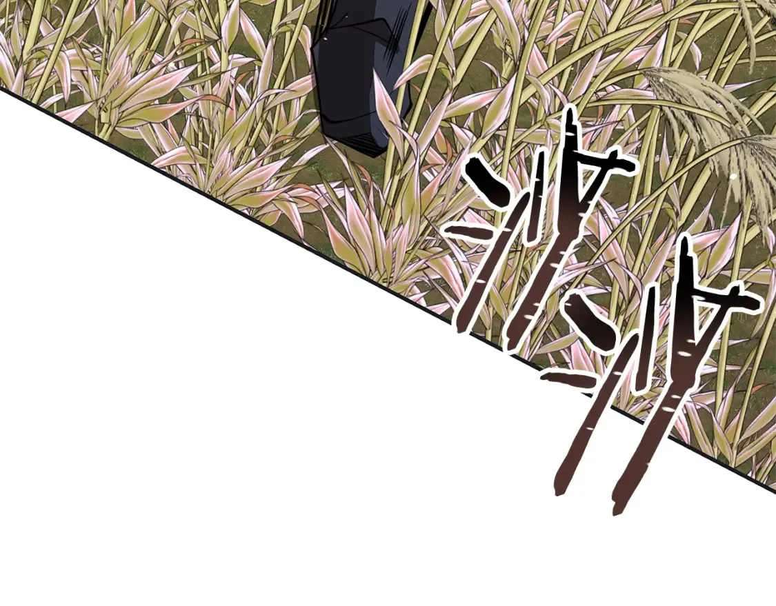 第11话 铁骑盟 第278页