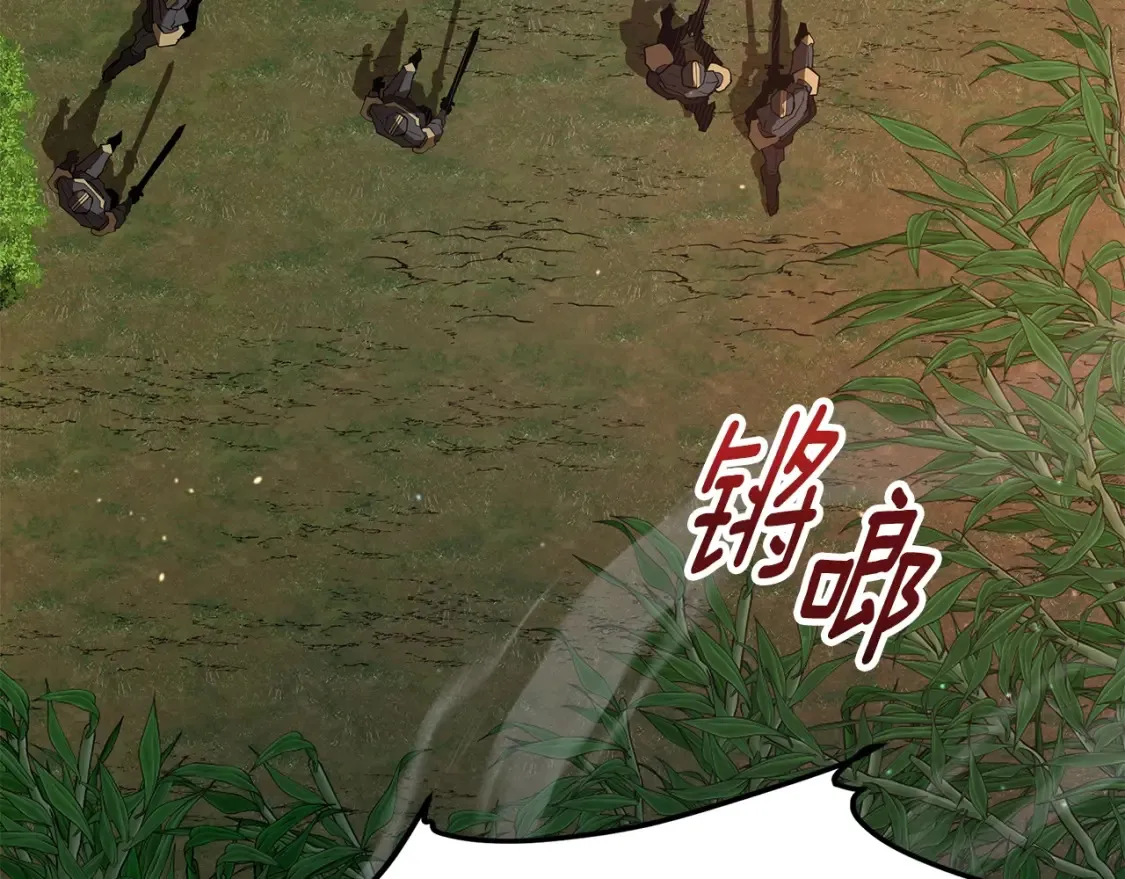 第18话 残酷的竹林 第5页