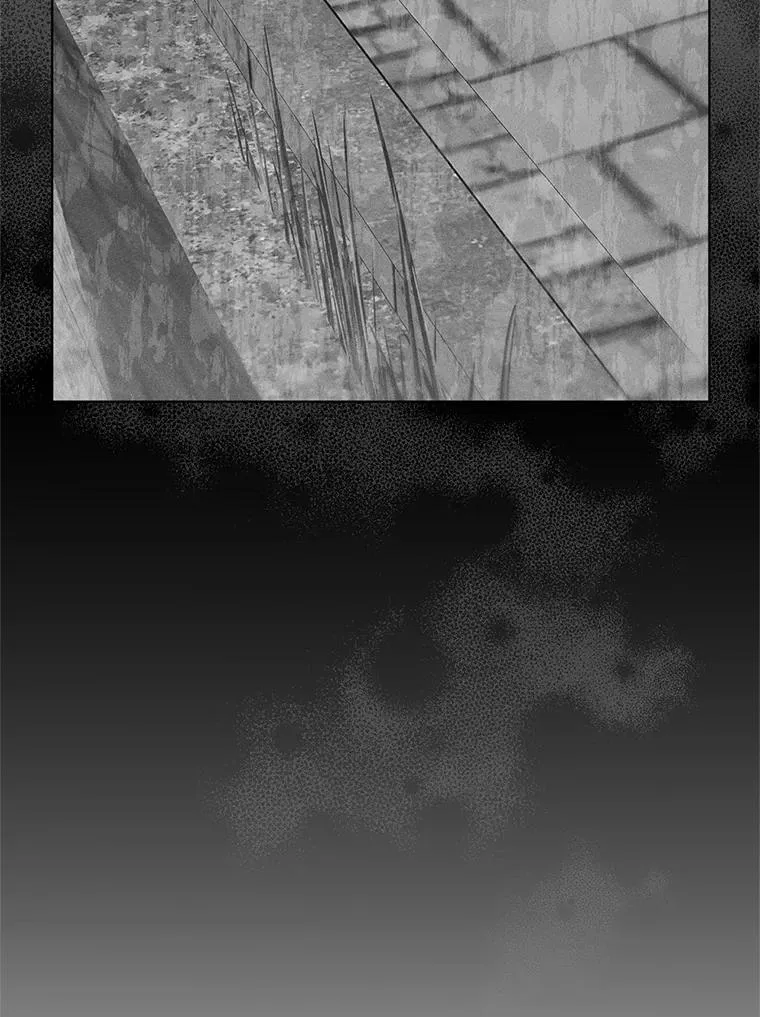 15.拜见皇帝陛下 第19页