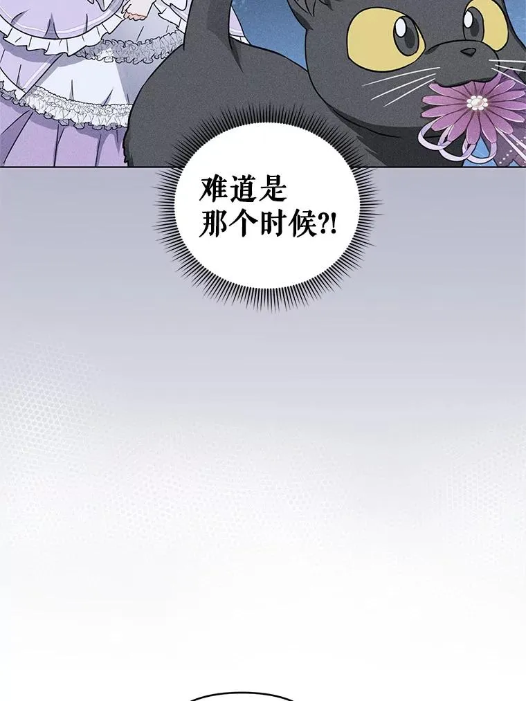 30.主动去找阿尔森 第47页