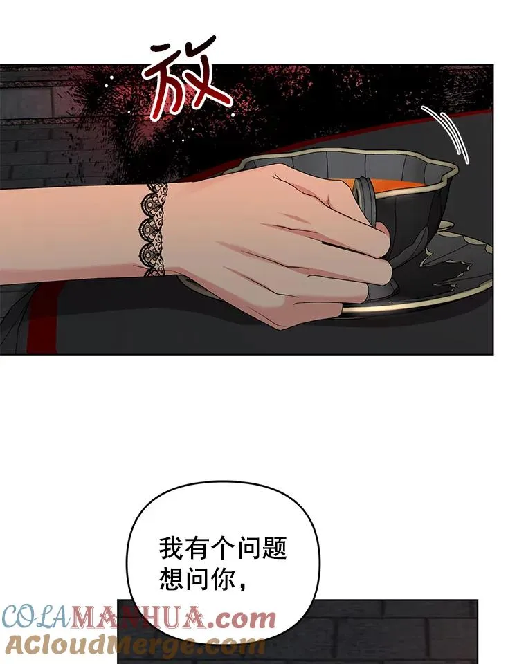 53.到达米斯波伦 第31页