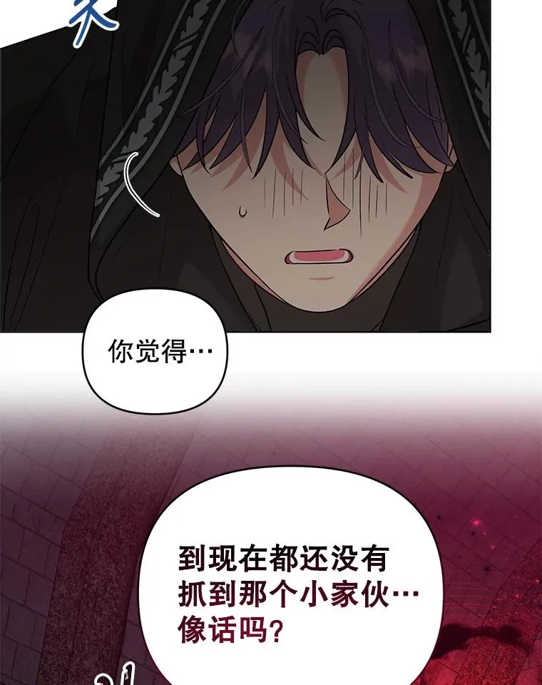 53.到达米斯波伦 第33页