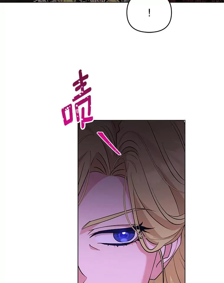 53.到达米斯波伦 第41页