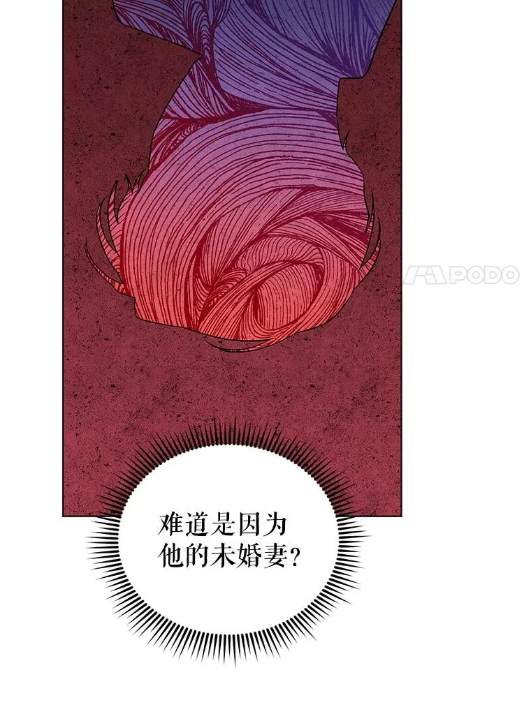 57.成功入国 第27页