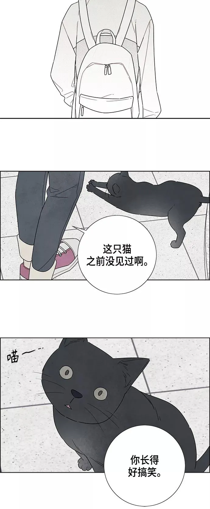第73话 第41页