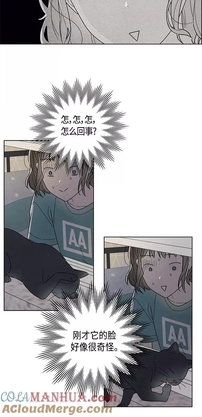第74话 第43页