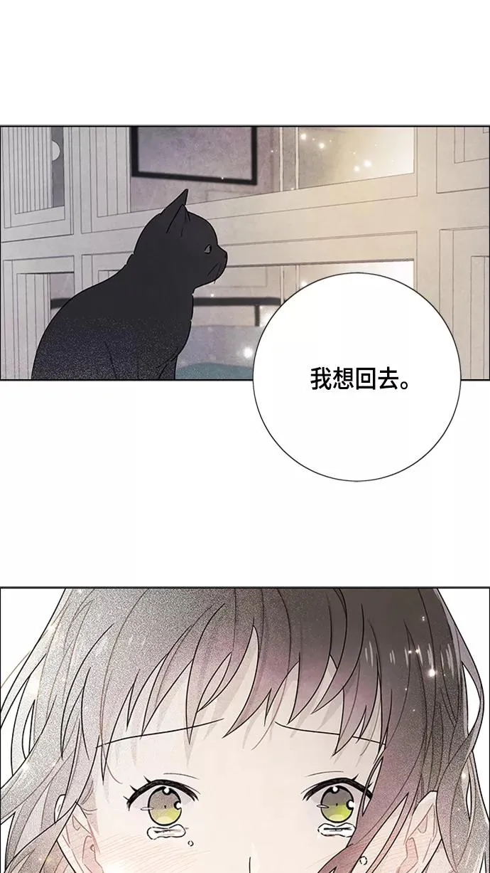 第75话 第56页