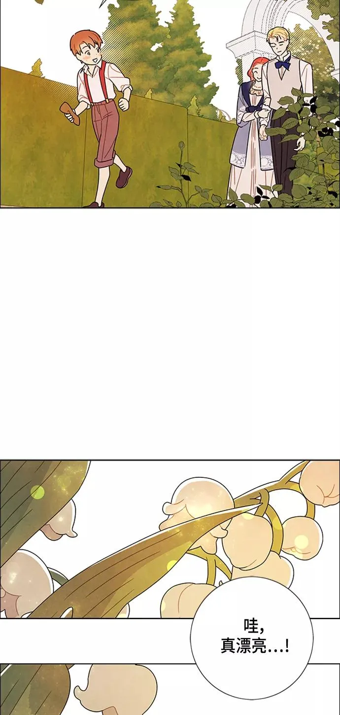 第78话 第17页