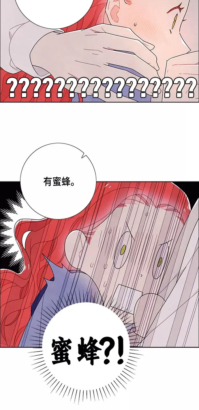 第78话 第35页