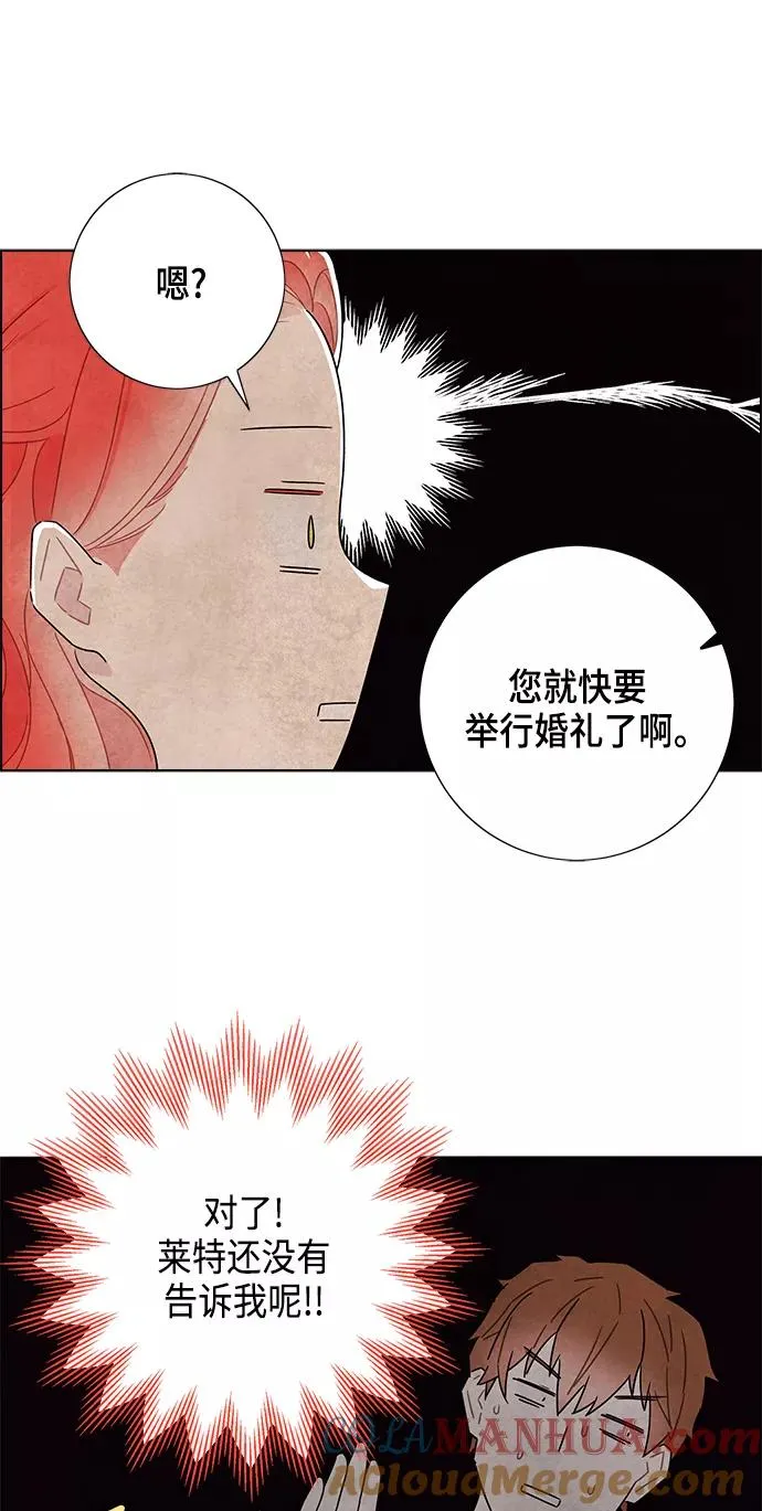 第81话 第61页