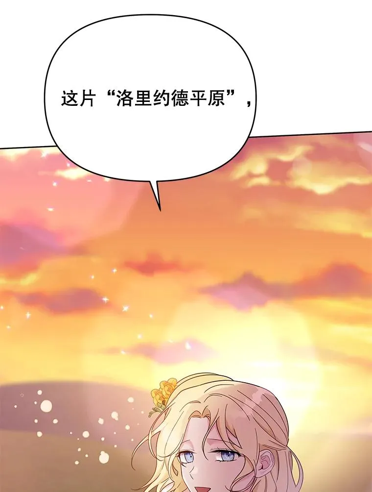 21.洛里约德平原 第102页