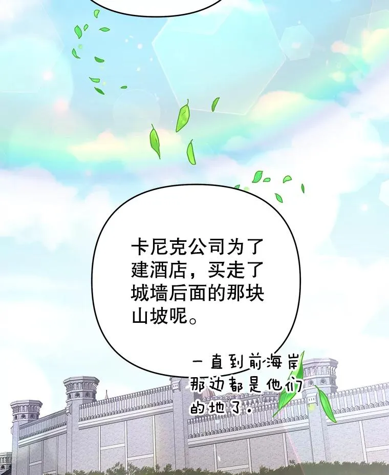 46.卡尼克酒店开业 第102页