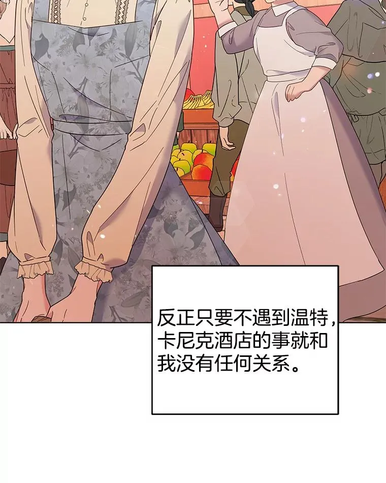 46.卡尼克酒店开业 第119页