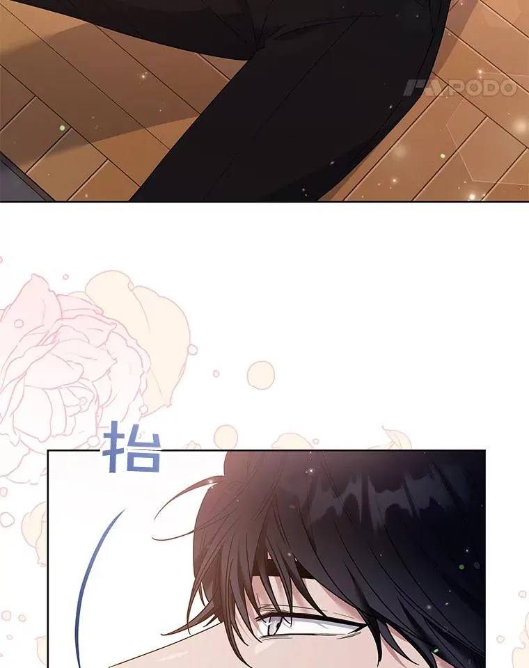 54.去看庆典 第11页