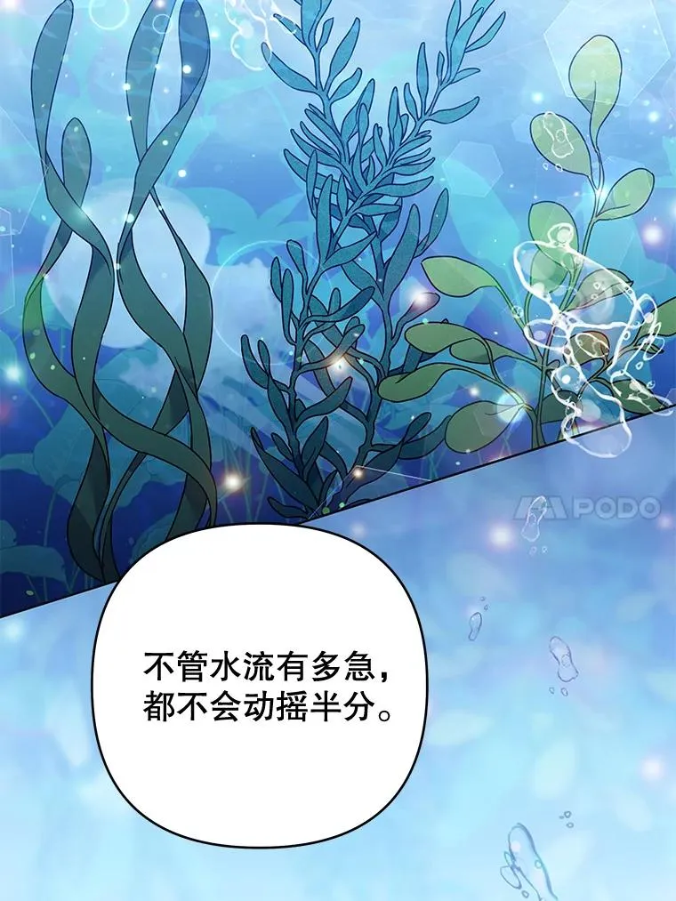 54.去看庆典 第79页