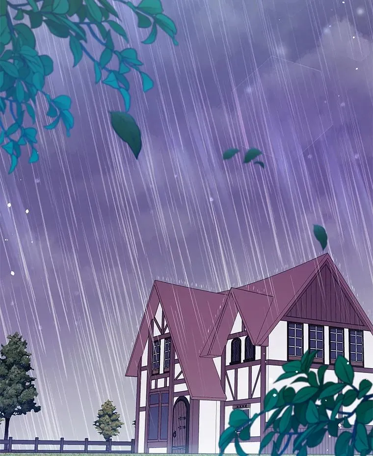 57.雨后 第2页