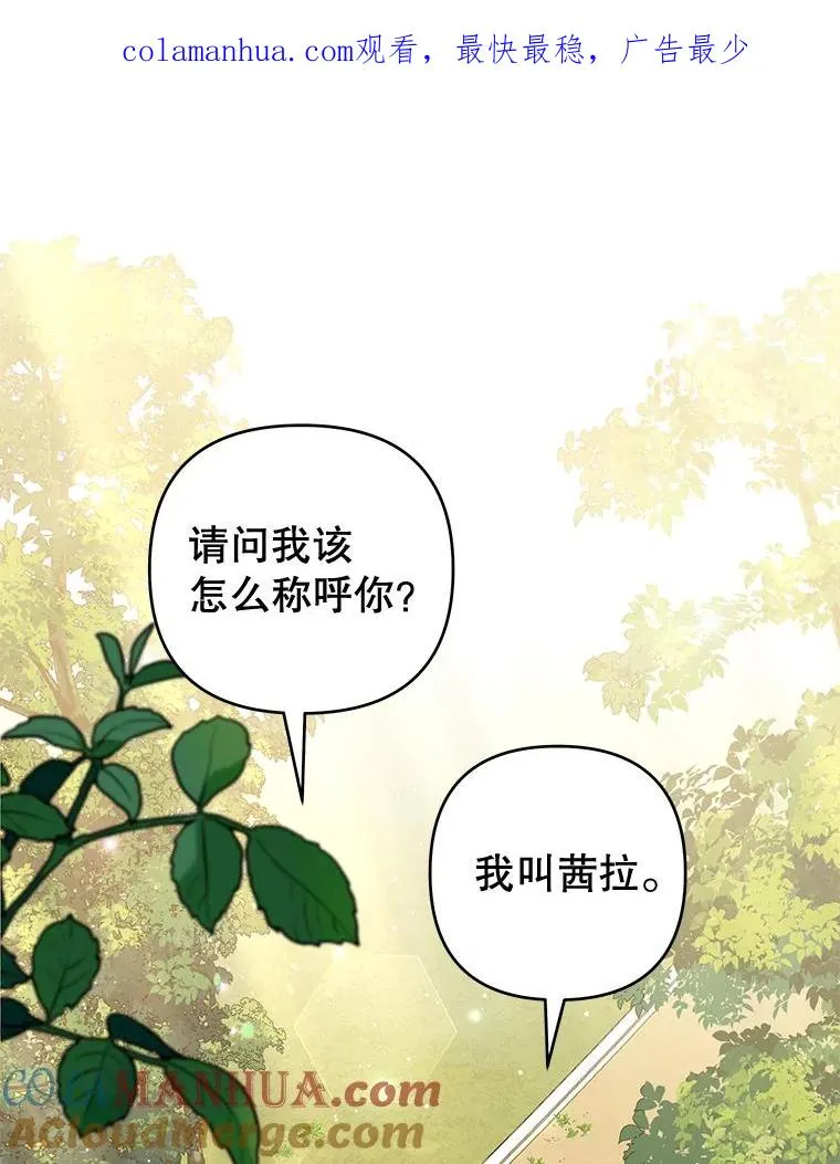 59.薇尔丽受伤 第1页