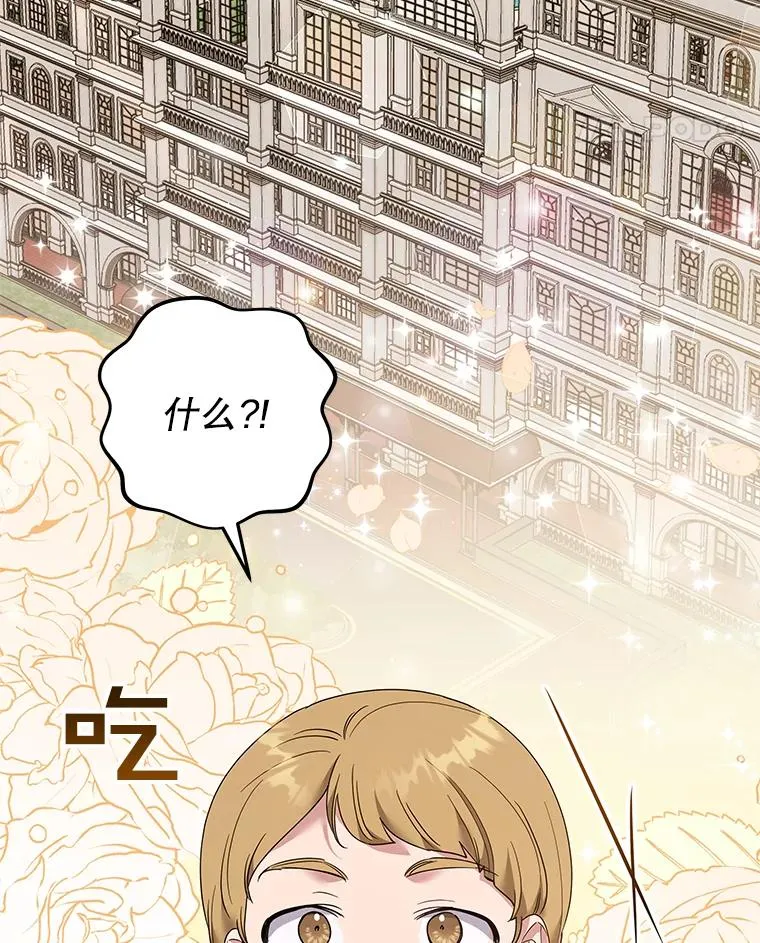 59.薇尔丽受伤 第31页