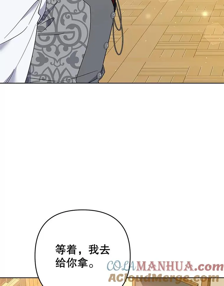 59.薇尔丽受伤 第53页