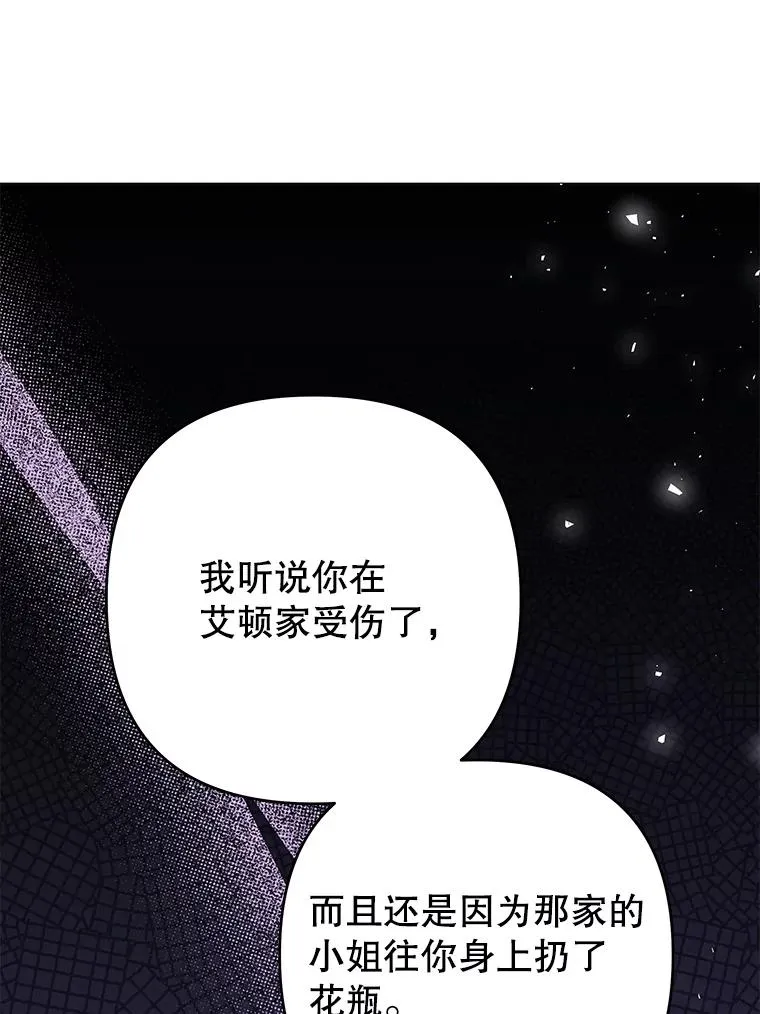 59.薇尔丽受伤 第91页