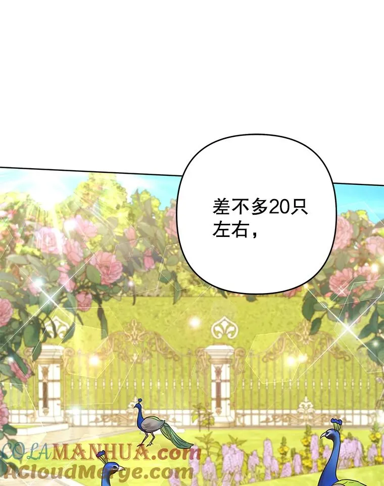 95.计划结婚典礼 第25页