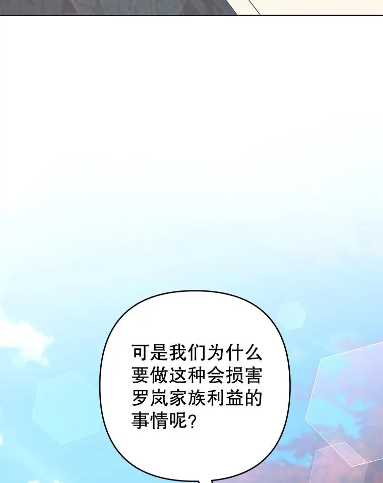 128.罗岚家族会议 第26页