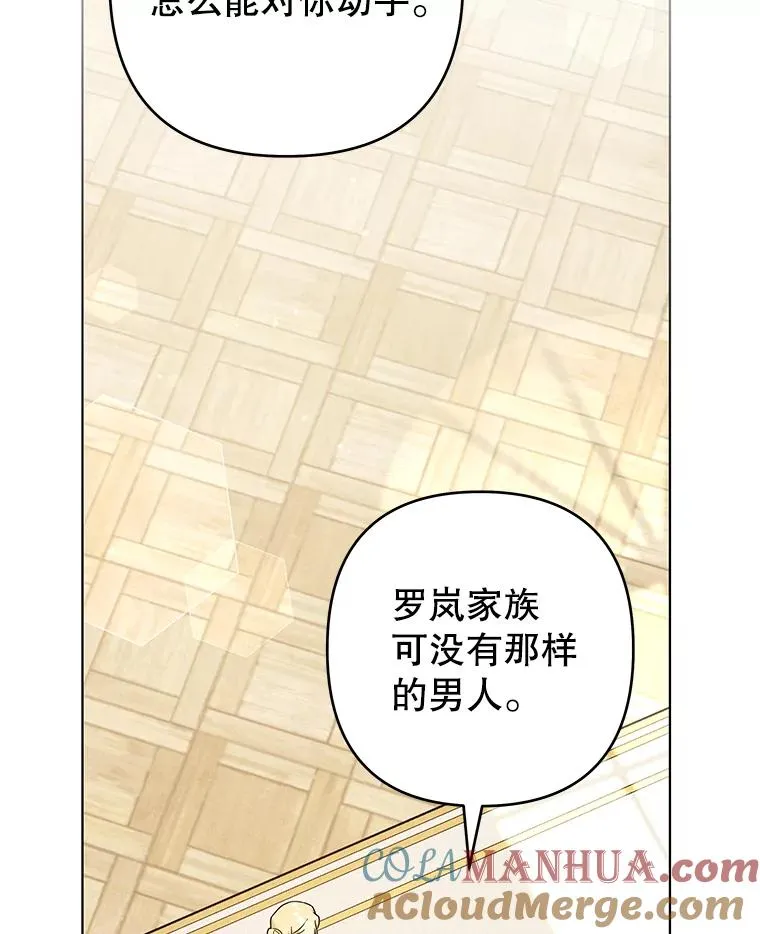 128.罗岚家族会议 第117页