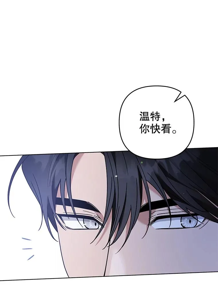133.偶遇混血孩子 第39页