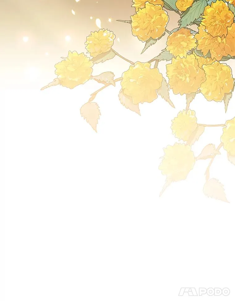 143.日升漫步 第63页