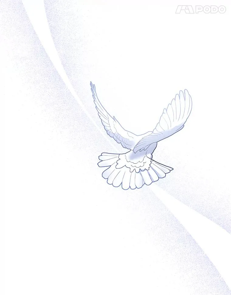 147.一起分担 第51页