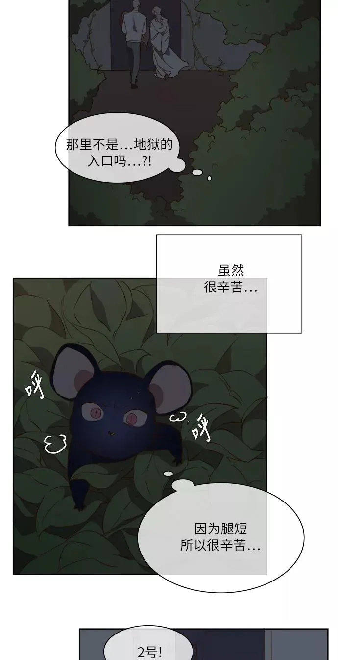 第58话 第41页