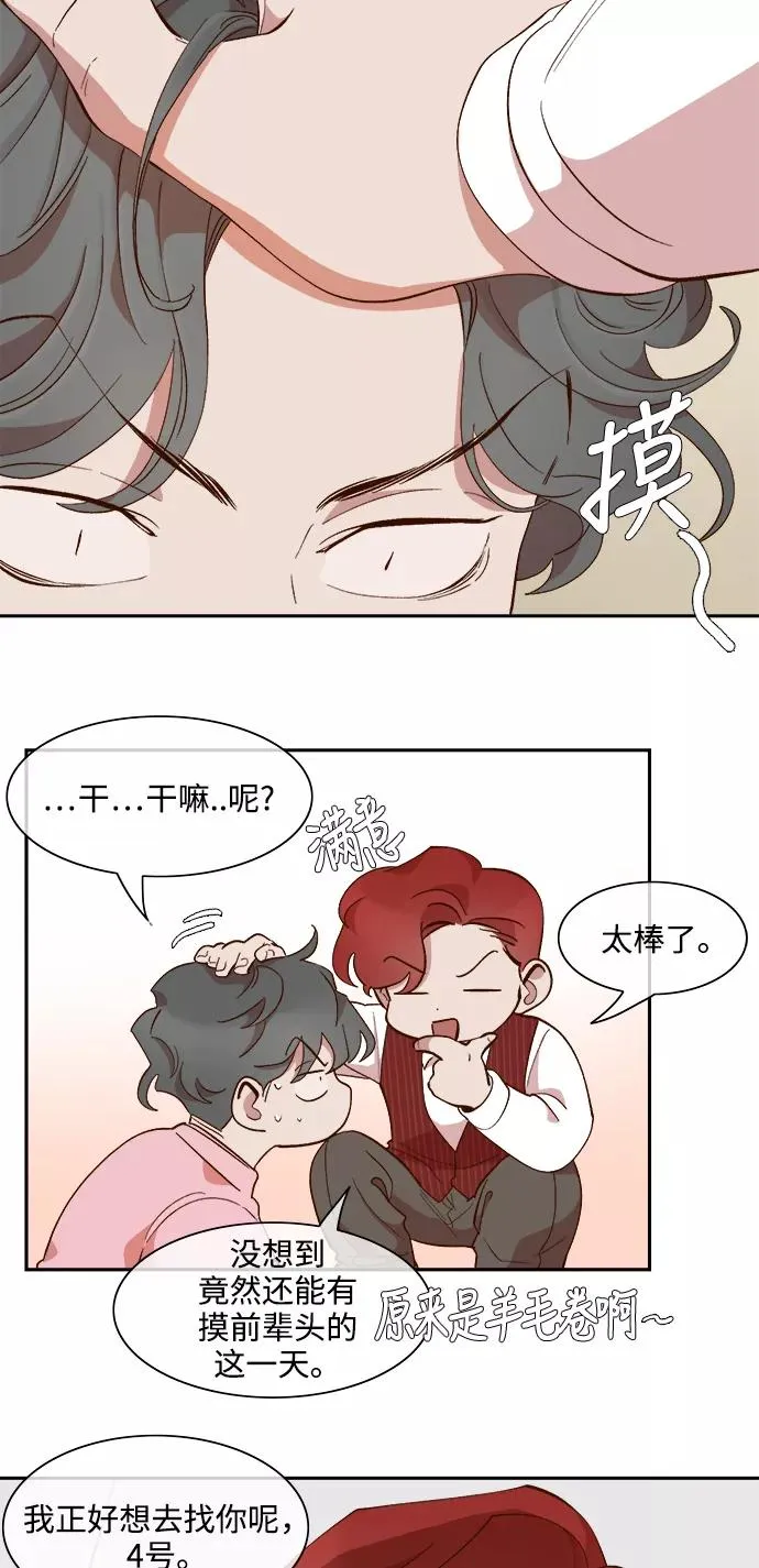 第62话 第20页