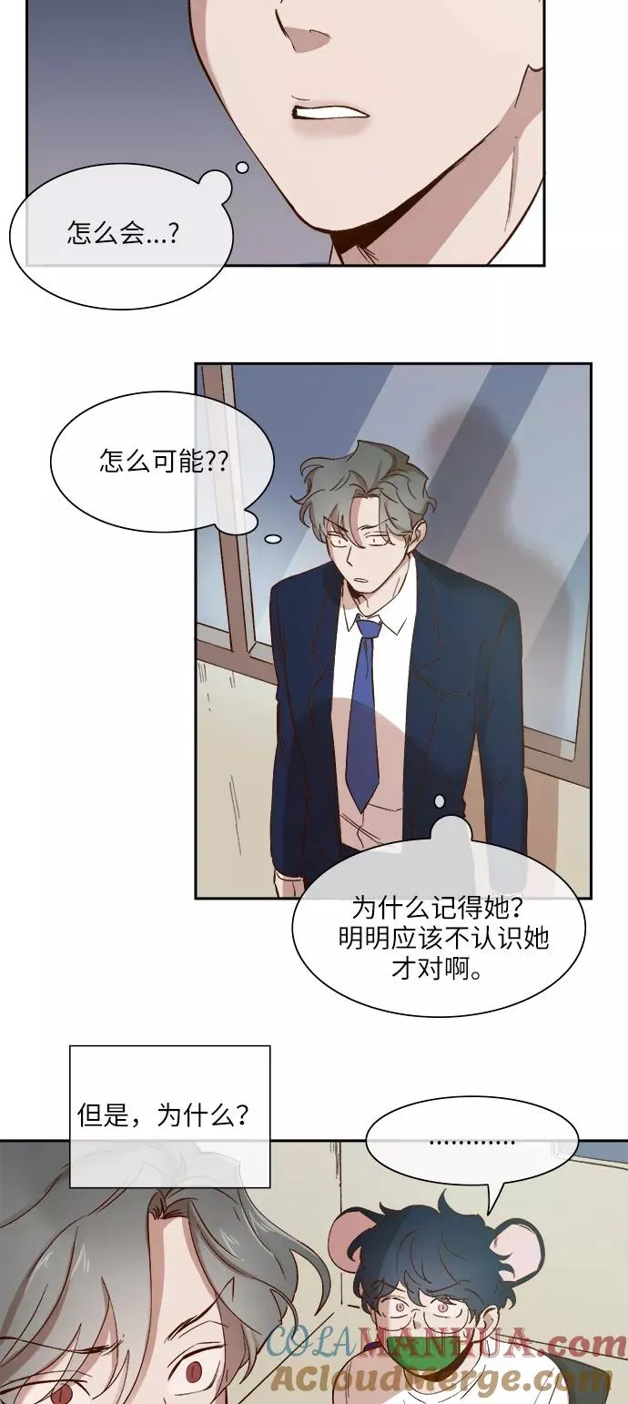 第77话 第19页