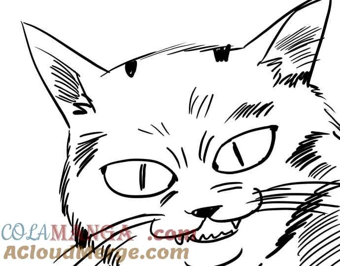 特别篇 第29页