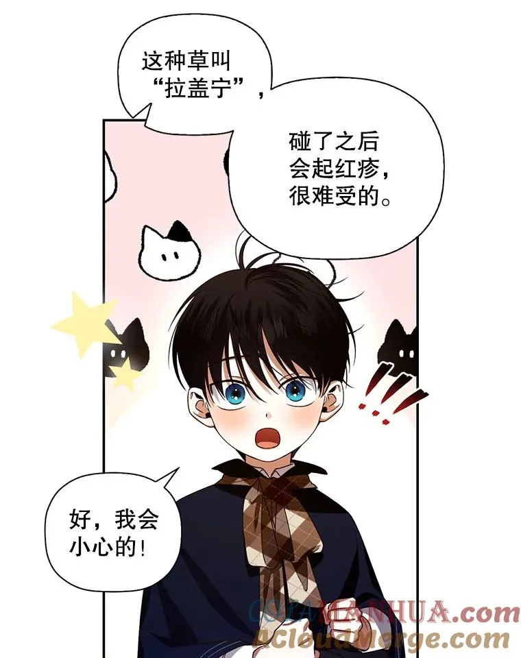 6.闲言碎语 第40页