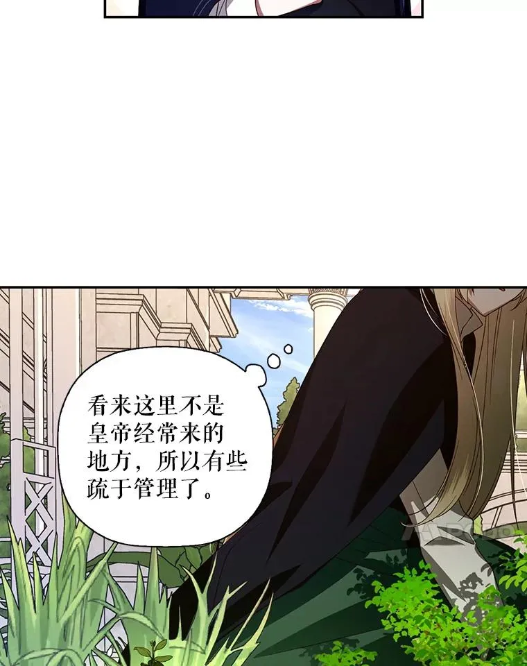 6.闲言碎语 第41页