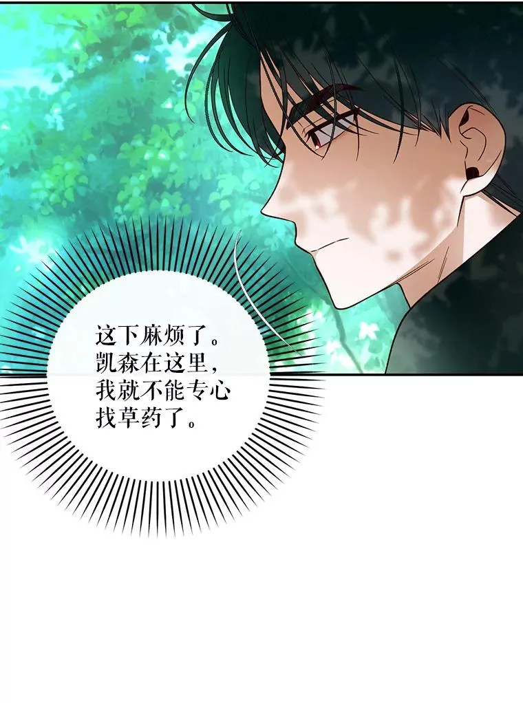 22.采草药 第9页