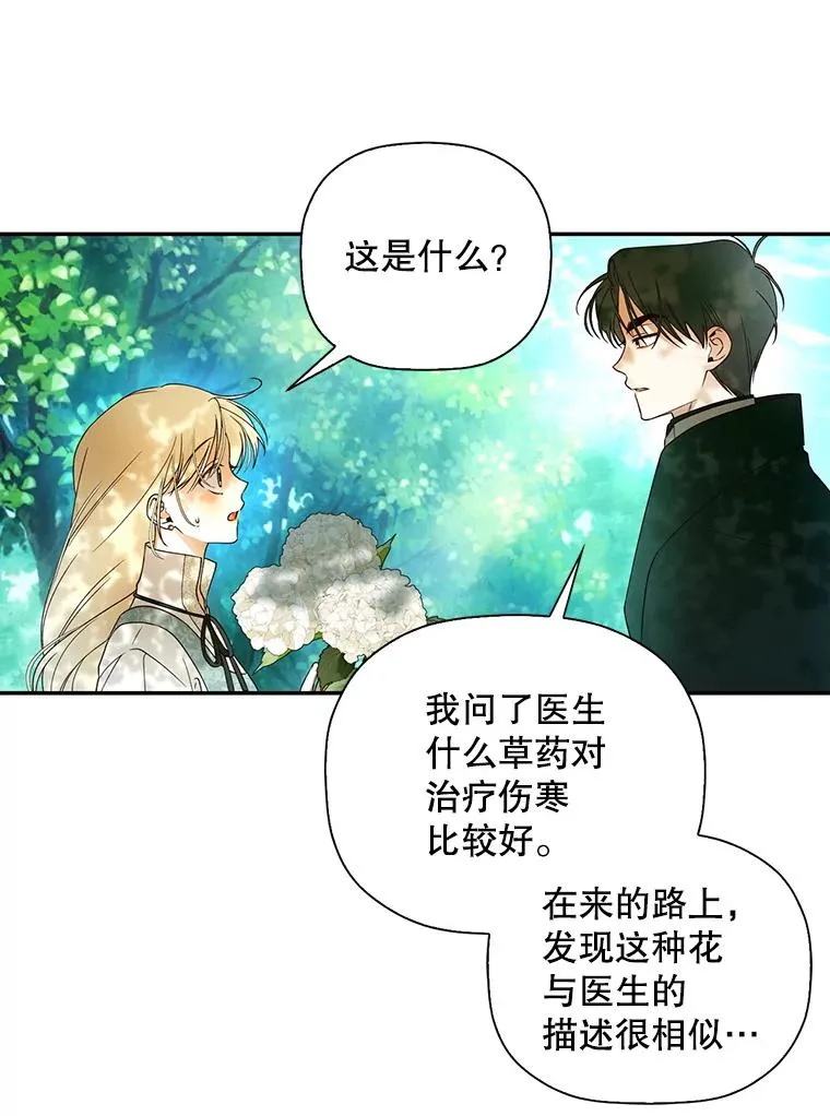 22.采草药 第11页